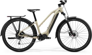 Classic E-bikes