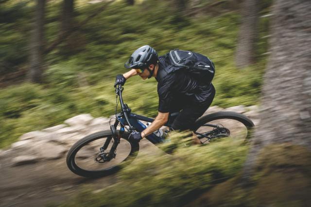 New 15km bike park in the heart of Pines forrest